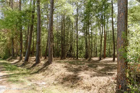 Water Access Land in Gautier