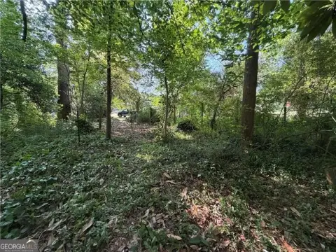 Land in Downtown Alpharetta
