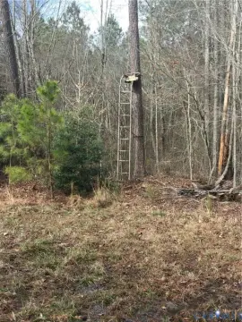 Wooded Land in Henrico, VA