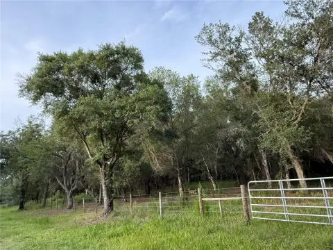 Wooded Gated Acreage for Development
