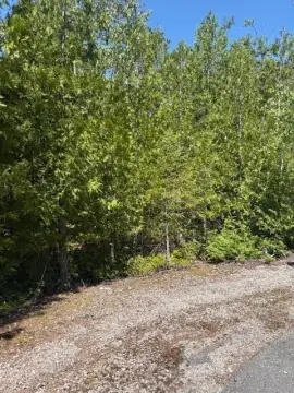 Wooded Lot Near Presque Isle