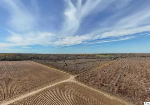 Recreational Hunting Tract with CRP