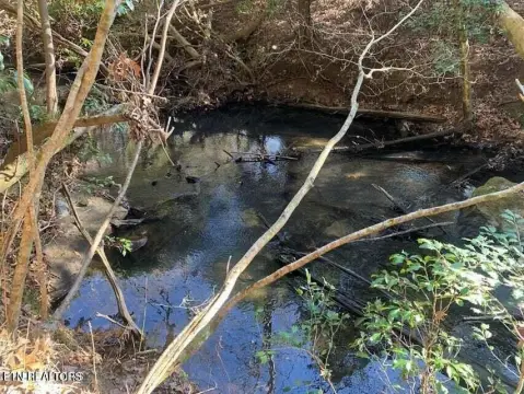 Waterfront Land with Creek