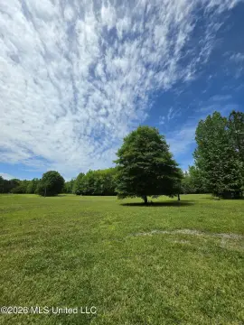 Residential Land in Byhalia, MS