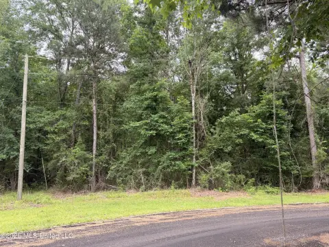 Wooded Lot for Dream Home