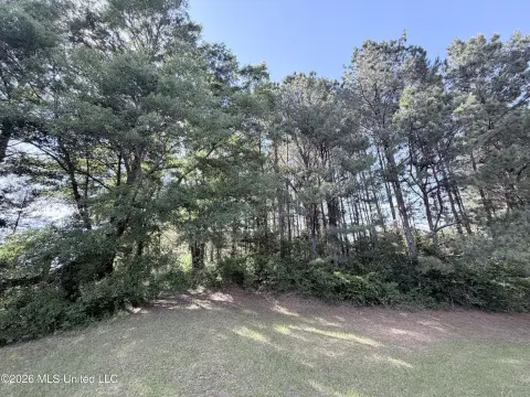Land For Sale, Carthage, MS