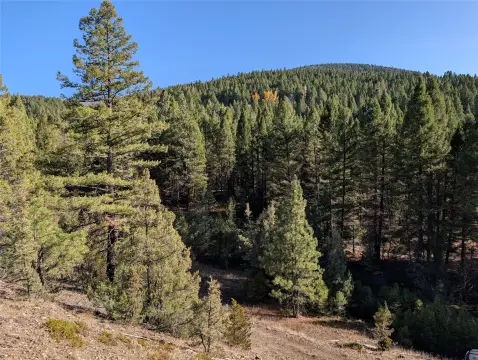 20.43 Acres Near Philipsburg