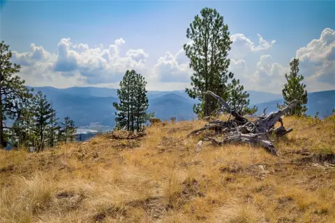 Montana Timbered Land For Sale