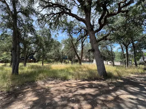 Oversized Clearlake Lot For Sale