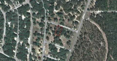 Ocklawaha Land For Sale