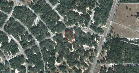 OCKLAWAHA Land For Sale