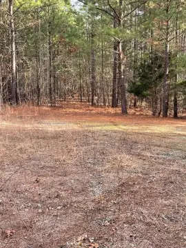 Secluded Wooded Acreage Near Kerr Lake