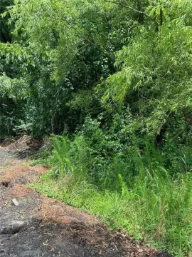 Suffolk, VA Cleared Lot