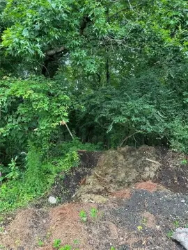 Cleared Lot in Suffolk, VA