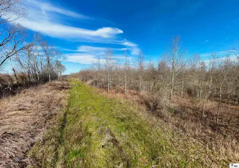 Recreational Hunting Land with CRP