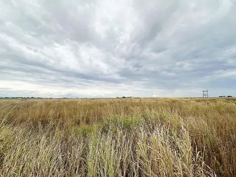 Acreage Tract for Custom Build