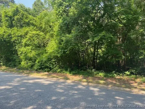 Fayetteville Wooded Lot Opportunity
