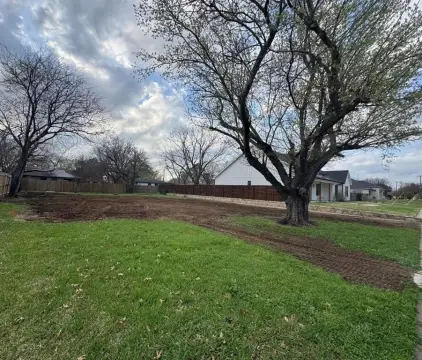 Grapevine Land Near Historic District