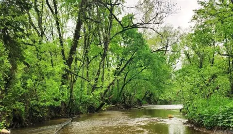 Acreage with Year-Round Creek