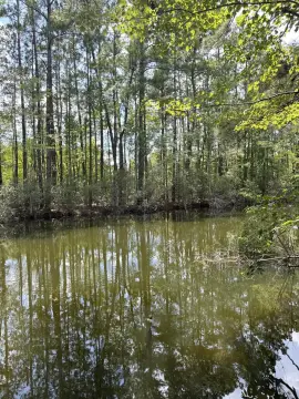 Waterfront Lot Near Campground
