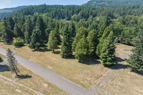 Buildable Land Near McKenzie River