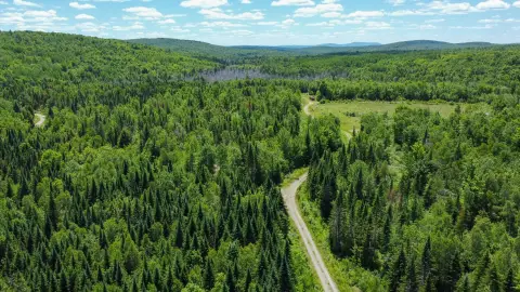 Recreation Timberland Parcel