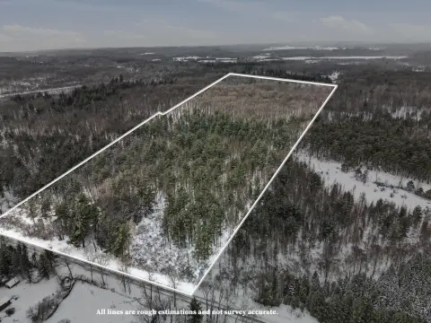 Wooded Land with Creek Access