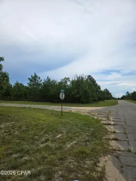 Wooded Corner Homesite Land