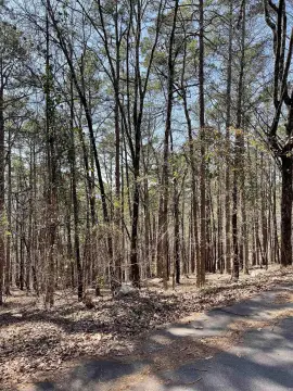 Residential Lot in Hot Springs