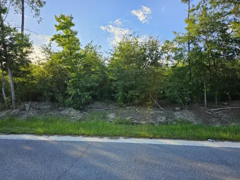 Acre Lot in Rembert, SC