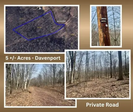 Secluded 5-Acre Countryside Parcel