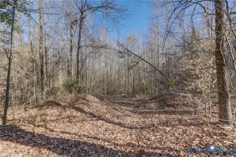 Undeveloped Land in Chesterfield County
