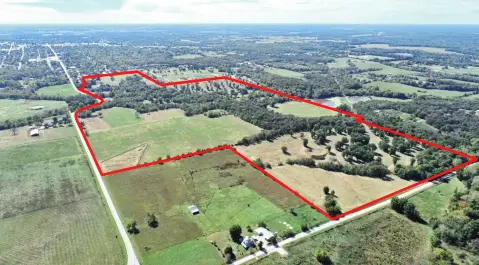 Cattle Farm with Pasture