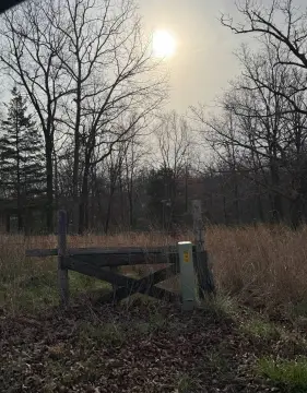 Vacant Land in Steelville, MO