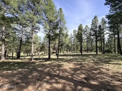Golf Course Homesite Land Parcel