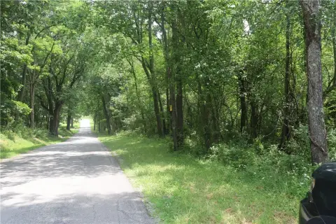 Wooded Farm Land with Road Frontage