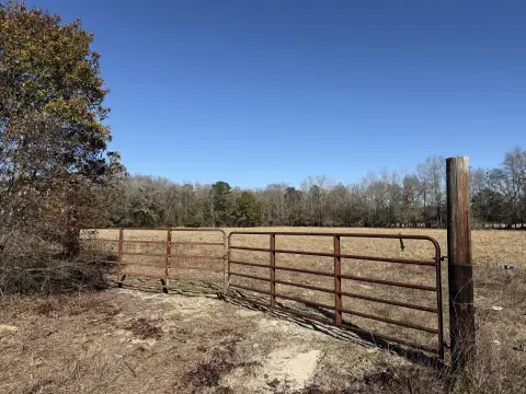 Manning, SC Land Parcel