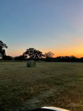 61.32 Acres of Unimproved Land