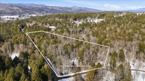 Wooded Residential Building Lot