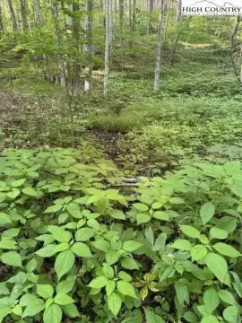 Creston Land Near Game Lands