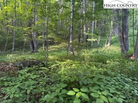 Creston Land Near Game Lands