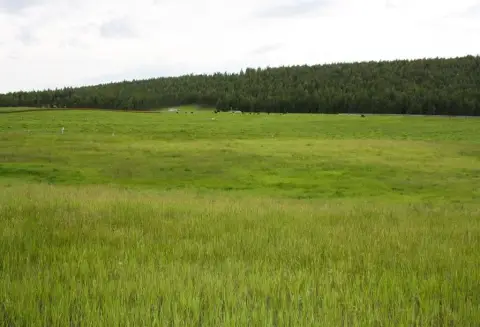 Single-Family Land with Mountain Views