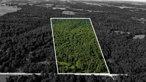 Wooded Hunting Land