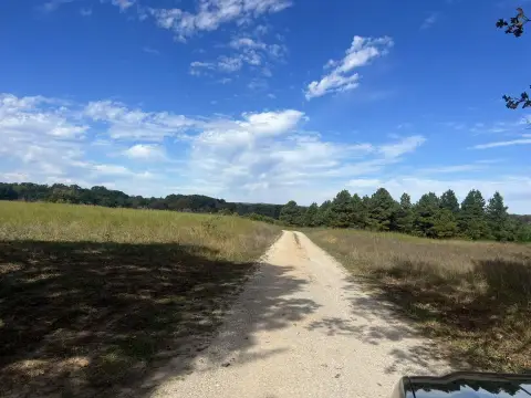 Land with Pond