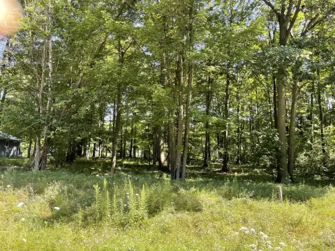 Houghton Lake Golf Course Lot