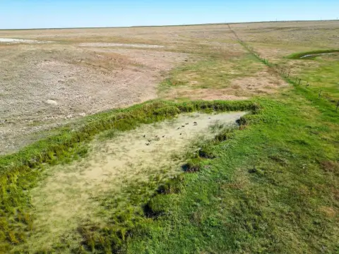 Agricultural Land with Mineral Rights