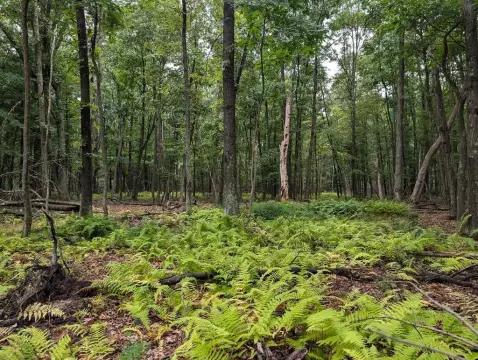 Venus, PA Vacant Land Parcel