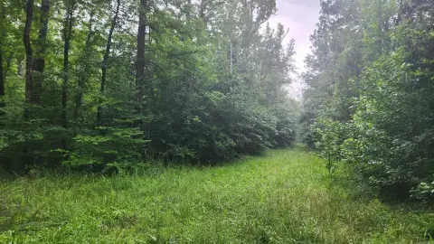 Story, AR Acreage For Sale