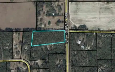 5 Acres in Dixie County