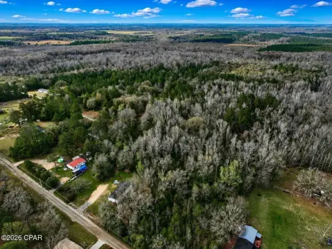 Wooded Hunting and Recreation Land